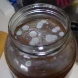 Plijesan na površini kombuche (buđa): šta učiniti, uzroci, kako izliječiti